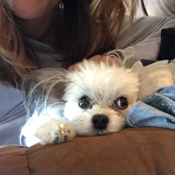 Meet your Posher, Erika - Picture 5 of 6